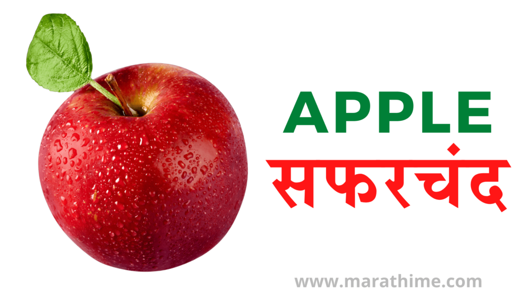 सफरचंद - Apple