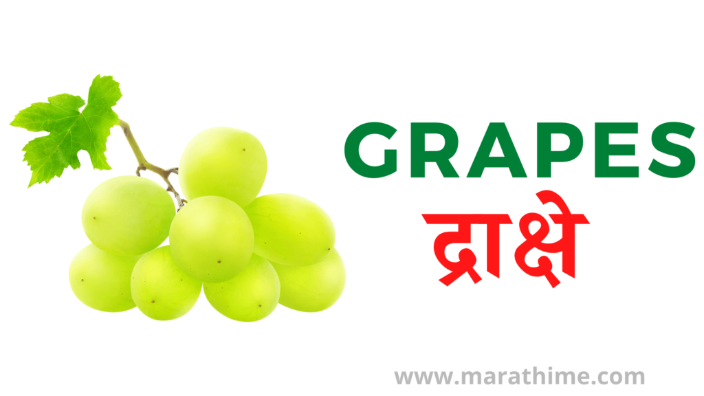 द्राक्षे - Grapes