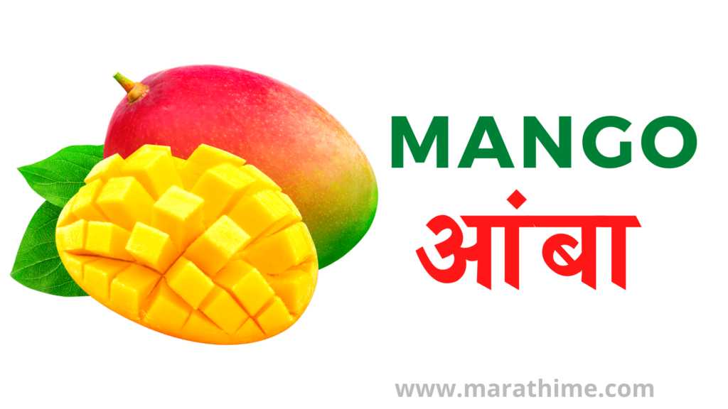 आंबा - Mango