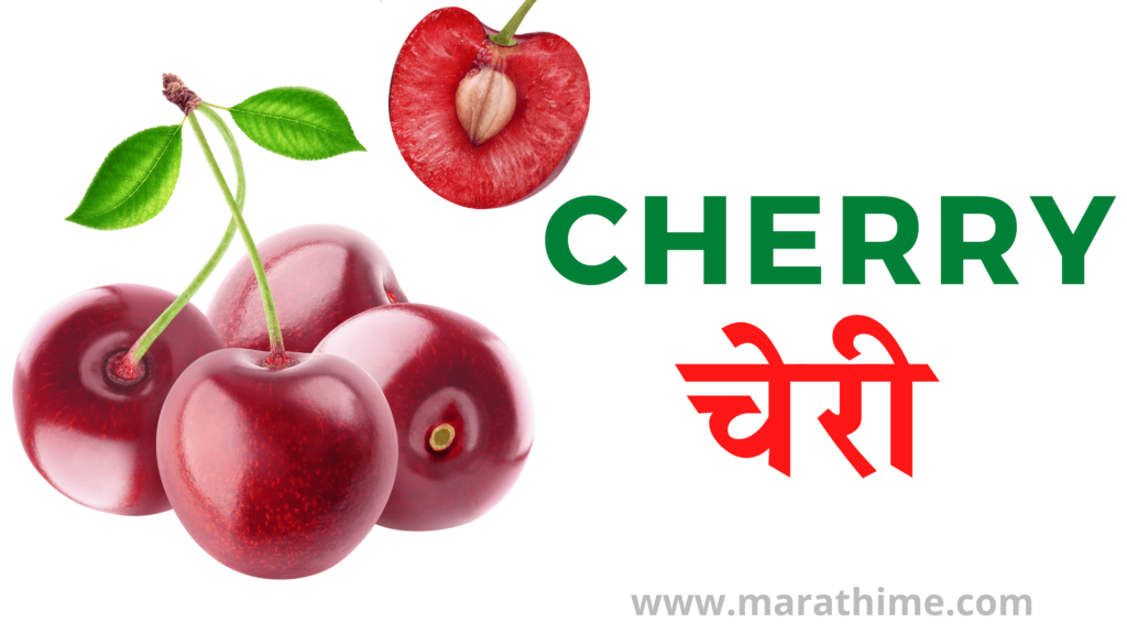 चेरी - Cherry