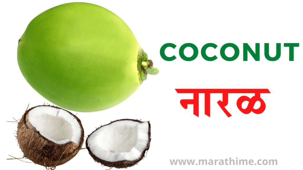 नारळ - Coconut