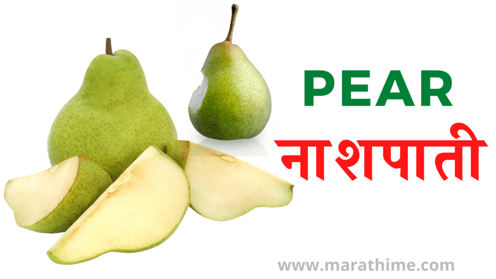 नाशपाती - Pear