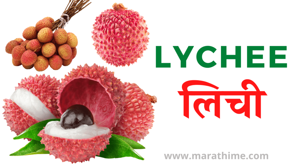 लिची - lychee
