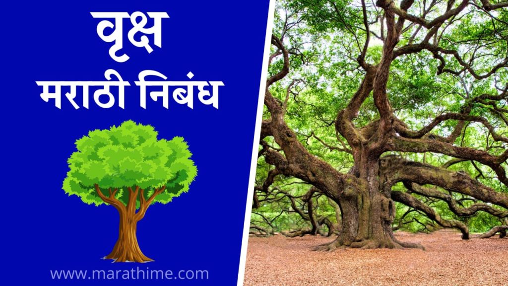 वृक्ष निबंध मराठी, Essay on Tree in Marathi
