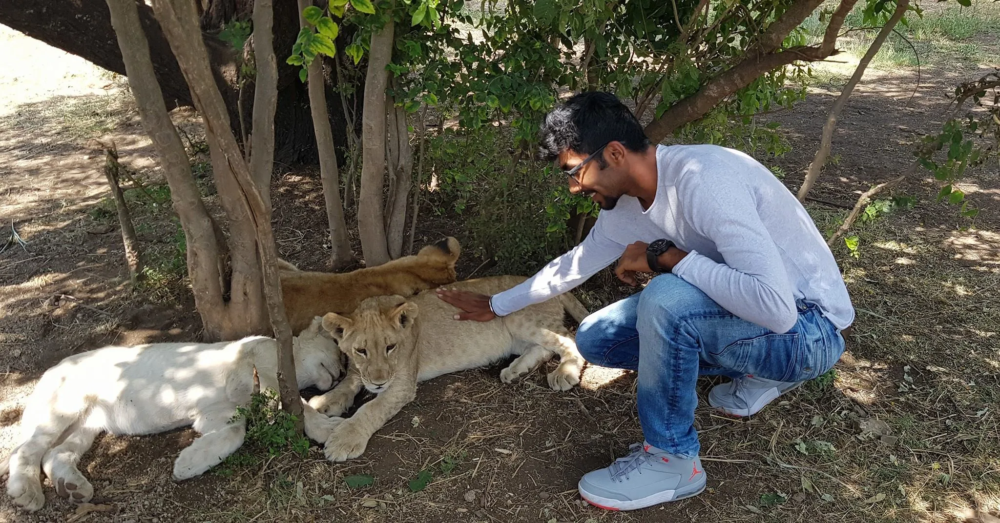 Jasprit Bumrah with Tiger