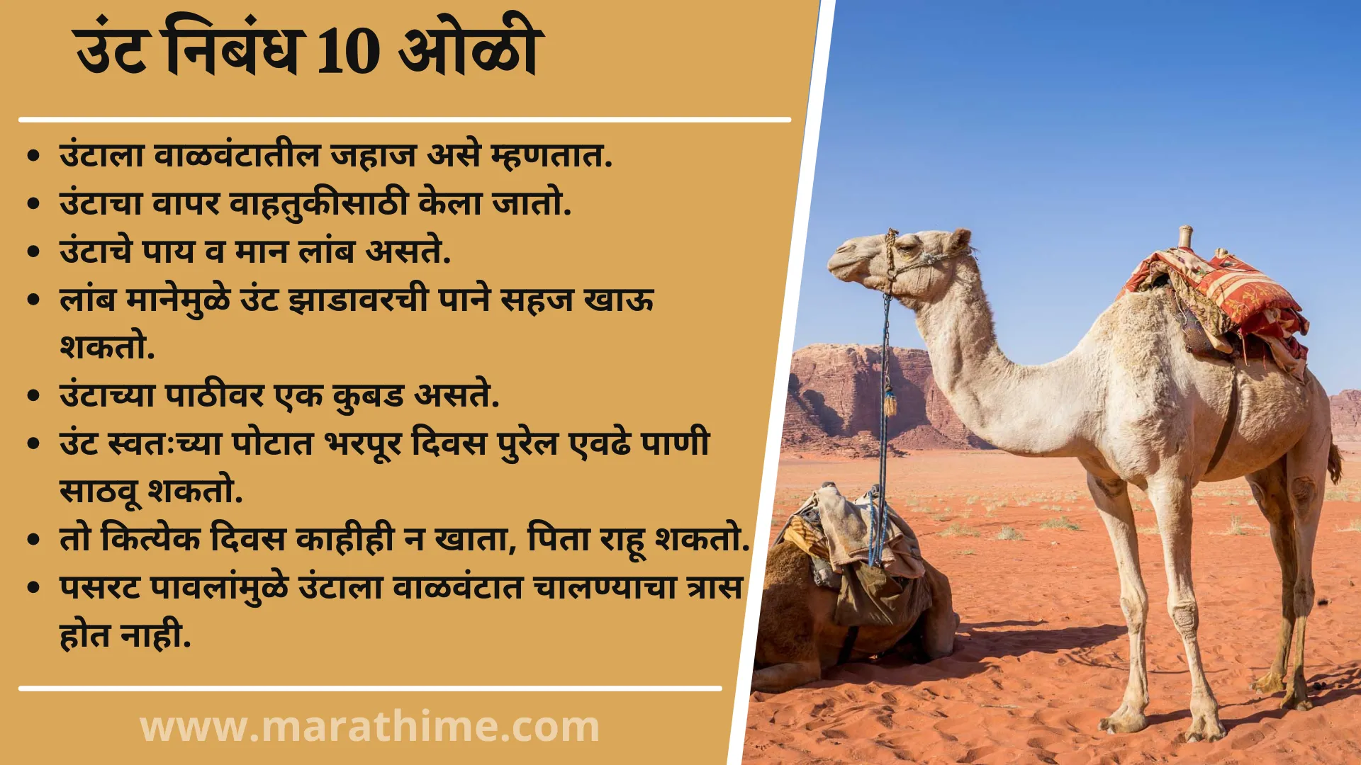 उंट निबंध 10 ओळी, 10 Lines On Camel in Marathi