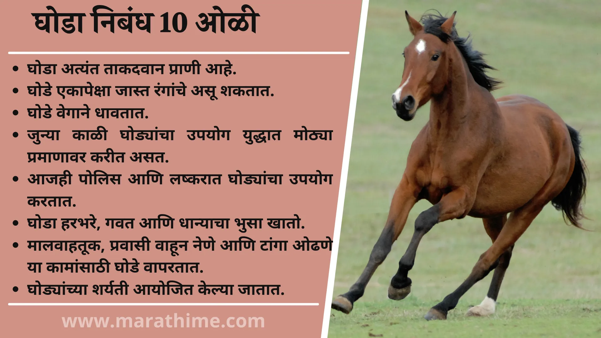 घोडा निबंध 10 ओळी, 10 Lines On Horse in Marathi