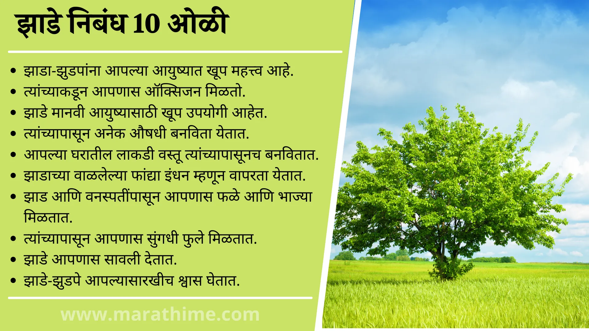 झाडे निबंध 10 ओळी, 10 Lines On Tree in Marathi