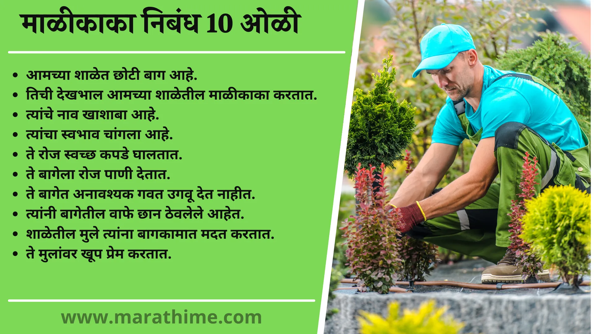 माळीकाका निबंध 10 ओळी, 10 Lines on Gardener in Marathi, Essay on Gardener in Marathi