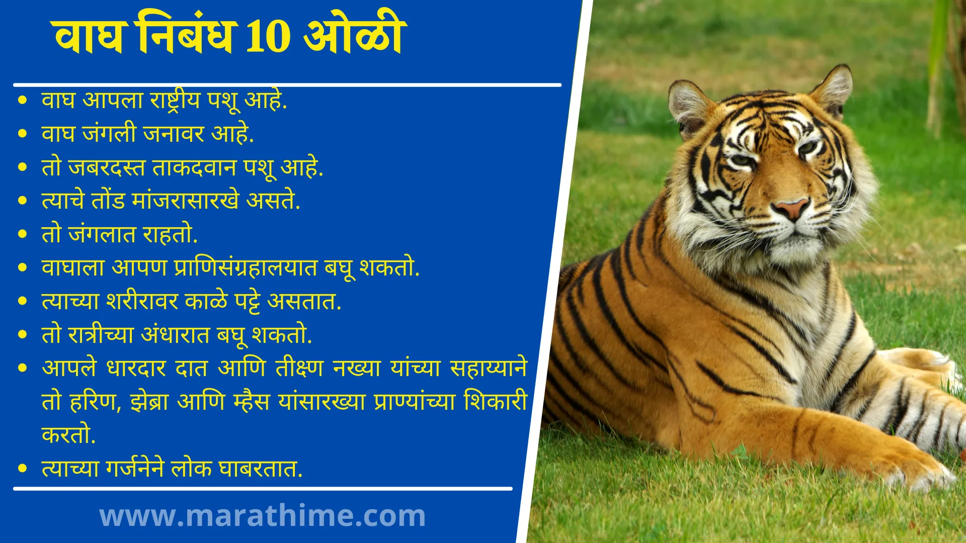 वाघ निबंध 10 ओळी, 10 Lines On Tiger in Marathi