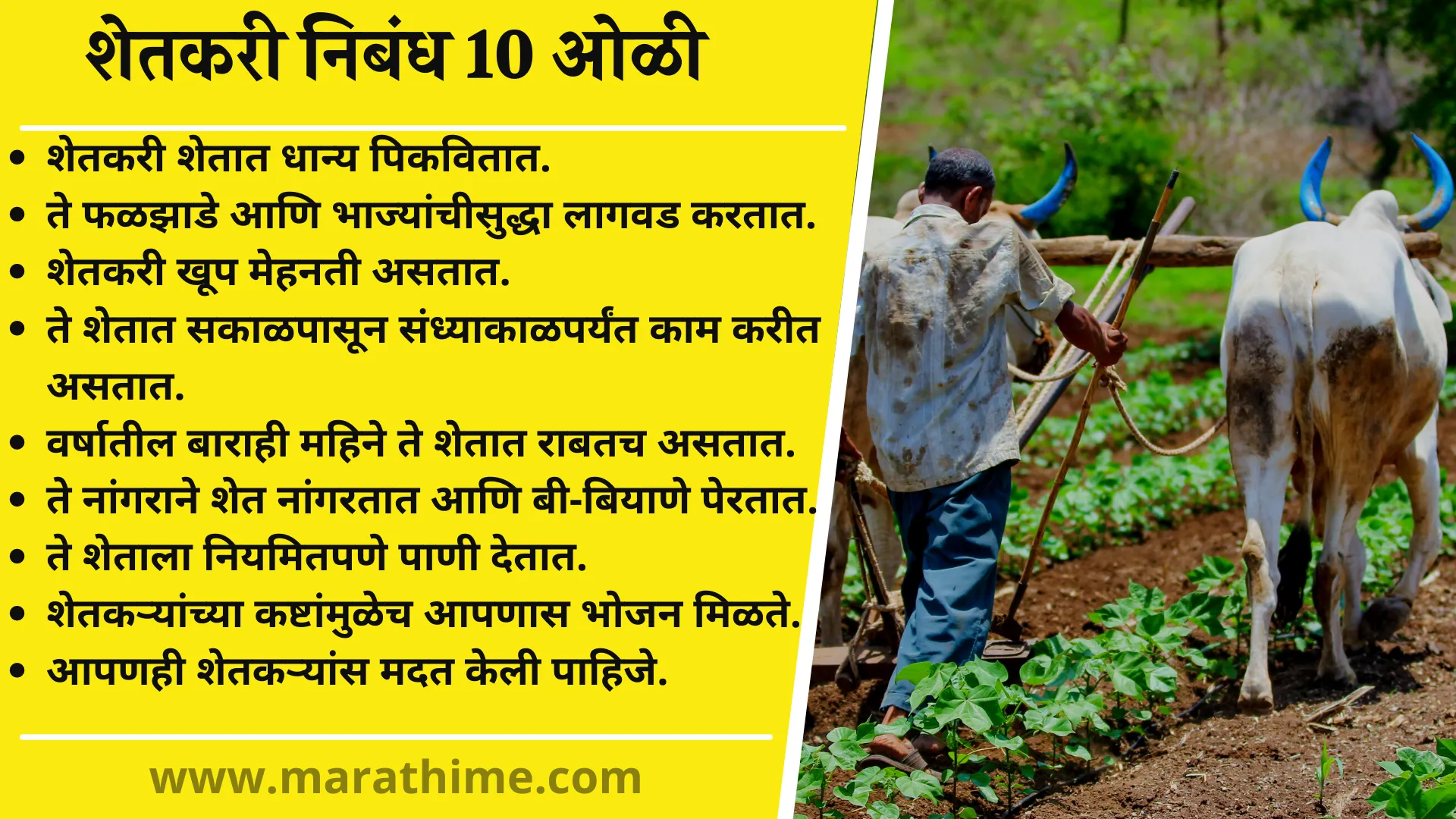essay on my friend farmer in marathi