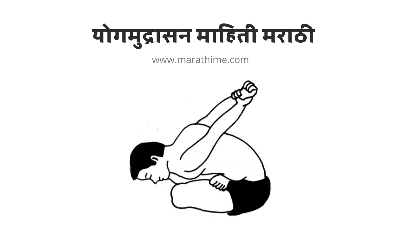 योगमुद्रासन माहिती मराठी, Yoga Mudra in Marathi