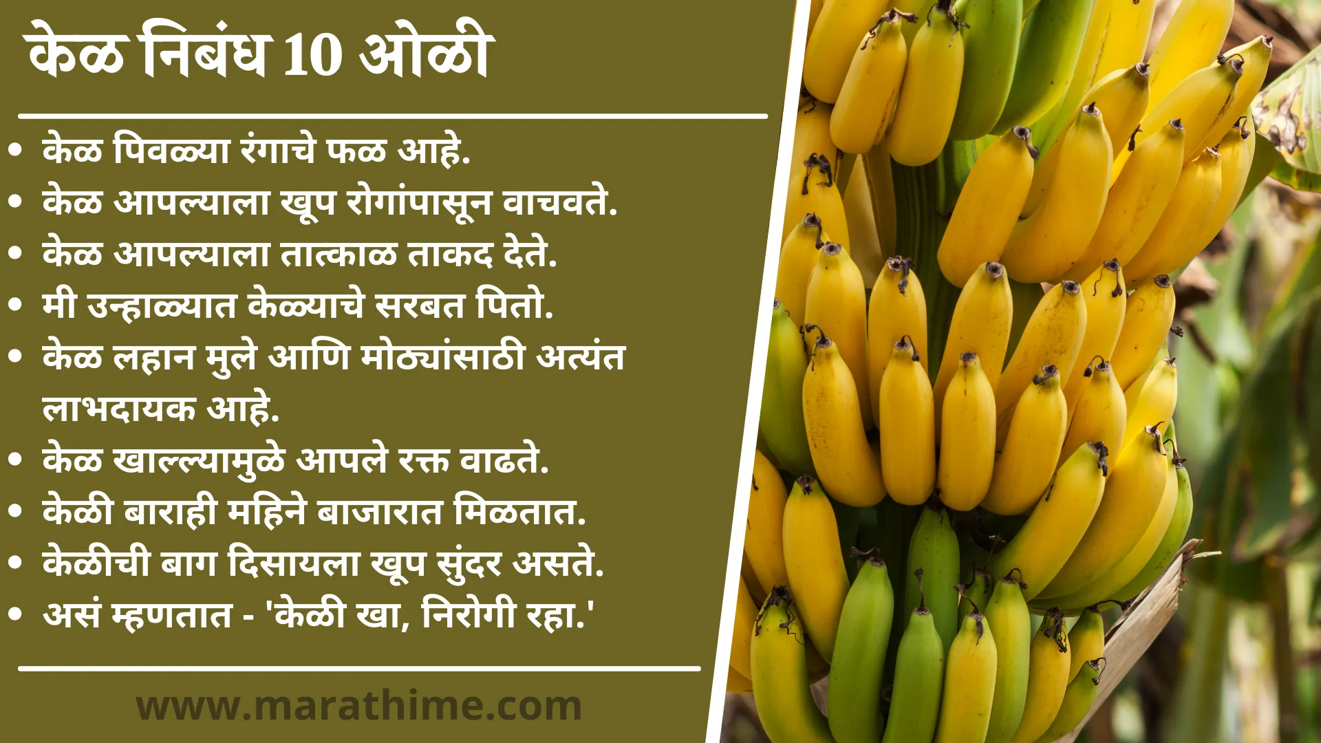 केळ  निबंध 10 ओळी-10 Lines on Banana in Marathi-Few Lines on Banana in Marathi