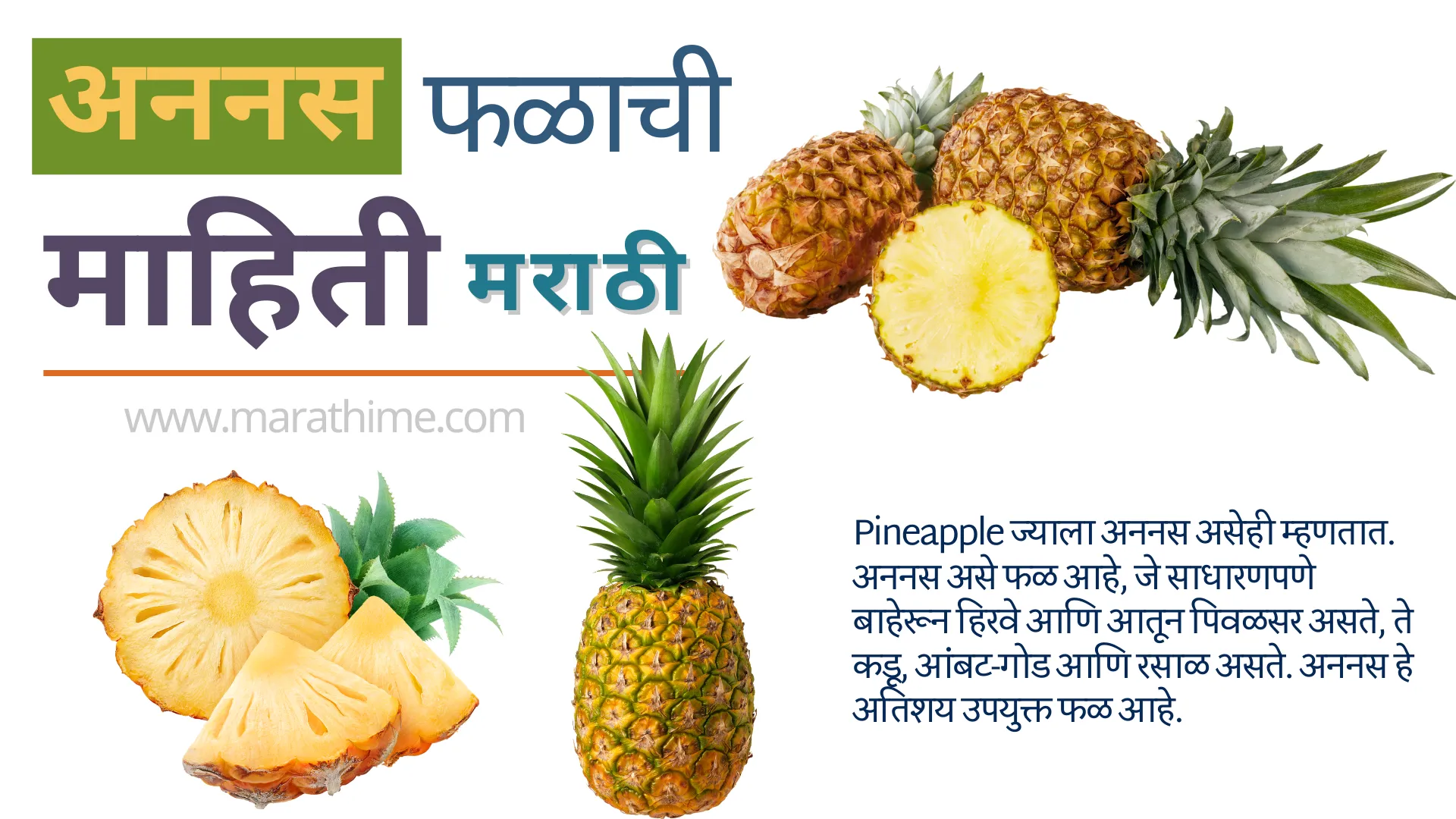 अननस विषयी माहिती मराठी-Pineapple Information in Marathi