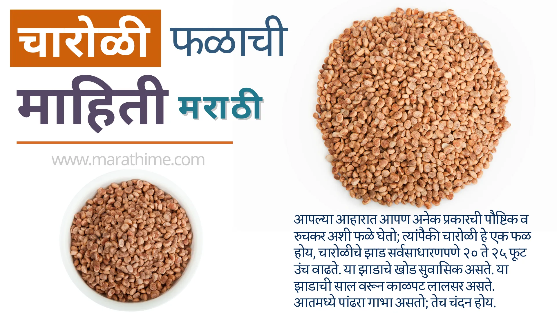 चारोळी-फळाबद्दल-माहिती-Charoli-Nuts-Information-in-Marathi