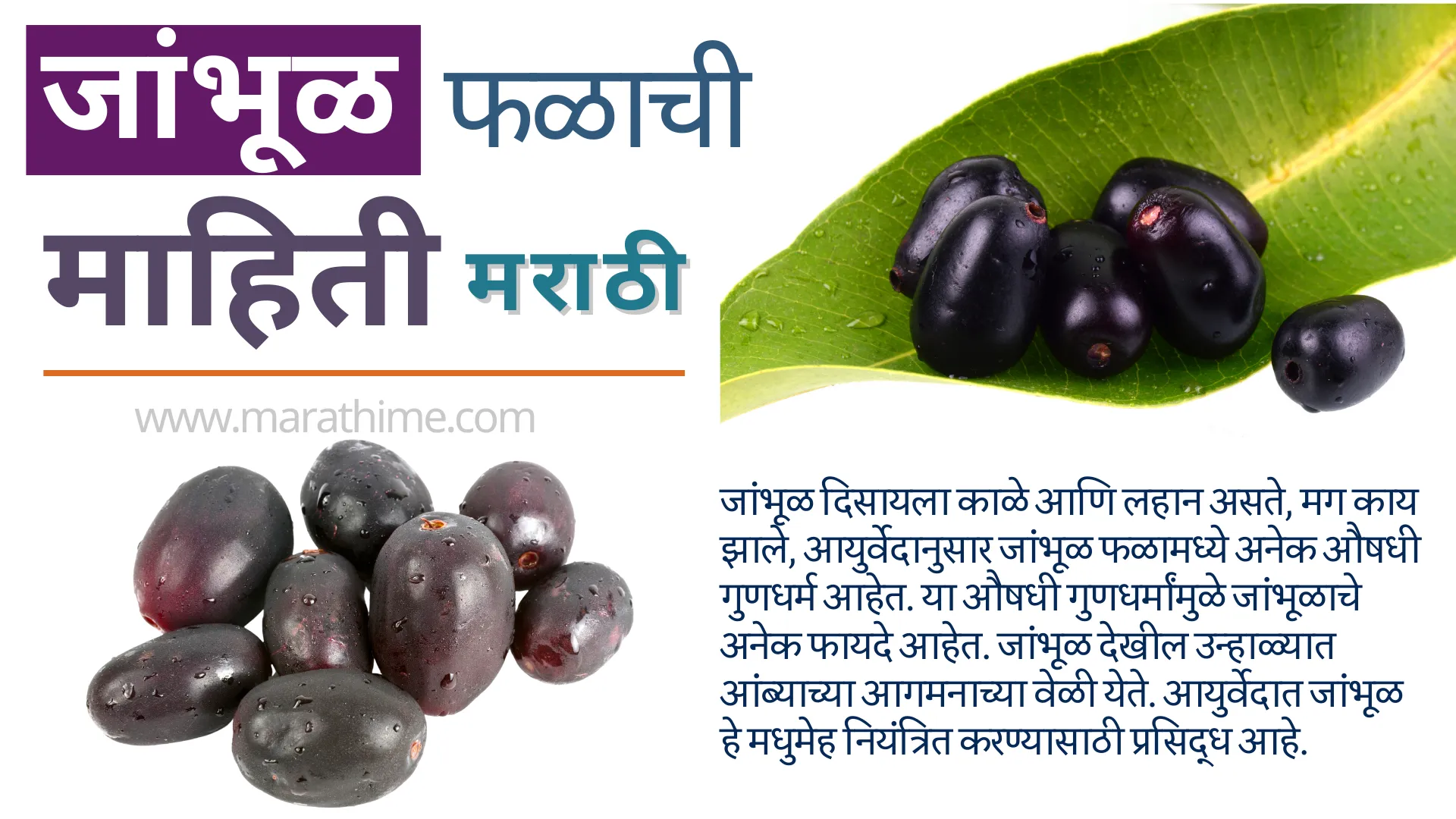 जांभूळ फळाची माहिती-Jambhul Information in Marathi