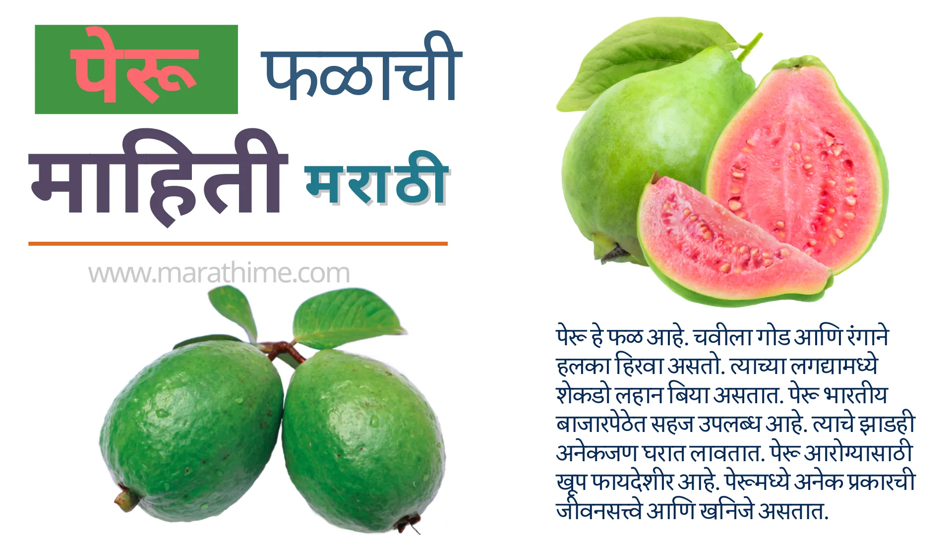 पेरू फळ माहिती मराठी-Guava Information in Marathi