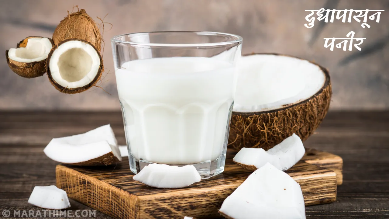 नारळाचे-दूध-रेसिपी-Coconut-Milk-Recipe-in-Marathi